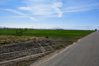 Enlarge photo 6