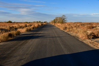 Enlarge photo 5