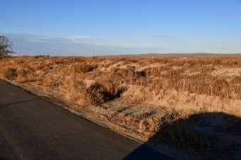 Enlarge photo 7