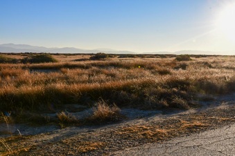 Enlarge photo 28