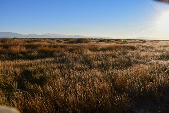 Enlarge photo 31