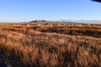 Enlarge photo 32