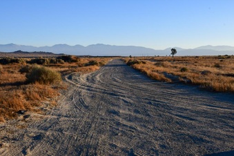 Enlarge photo 37