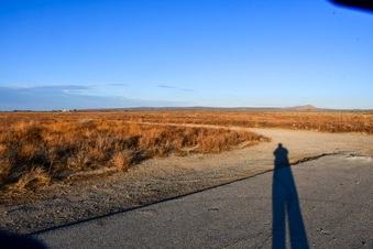 Enlarge photo 39