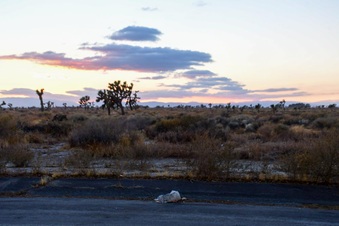 Enlarge photo 6