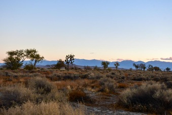 Enlarge photo 10