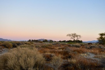 Enlarge photo 11