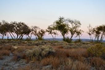 Enlarge photo 13
