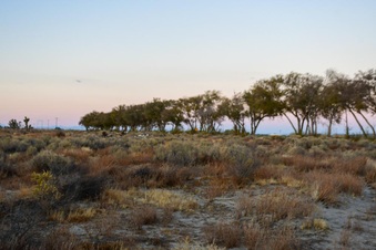 Enlarge photo 14
