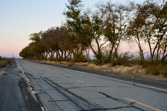 Enlarge photo 15