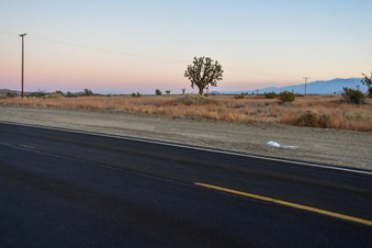 Enlarge photo 11
