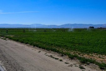 Enlarge photo 4