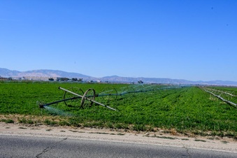 Enlarge photo 8
