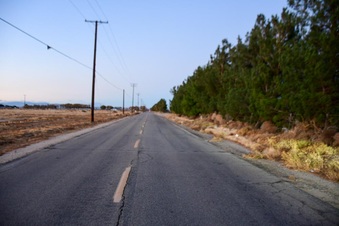 Enlarge photo 2