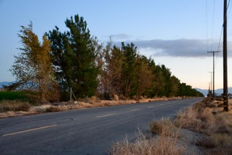 Enlarge photo 18