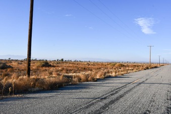 Enlarge photo 12