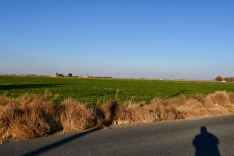Enlarge photo 17