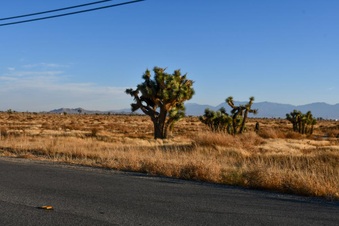 Enlarge photo 23