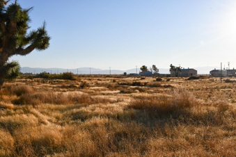 Enlarge photo 26
