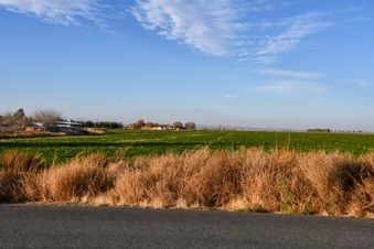Enlarge photo 29