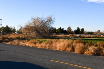 Enlarge photo 30