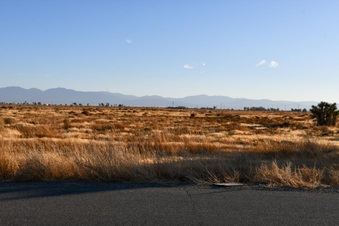 Enlarge photo 33