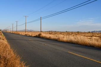 Enlarge photo 35