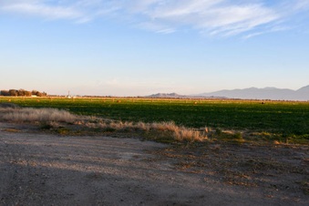 Enlarge photo 36