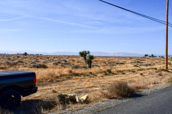 Ave I - 2 (Green Field)