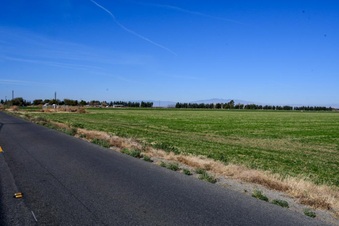 Enlarge photo 3