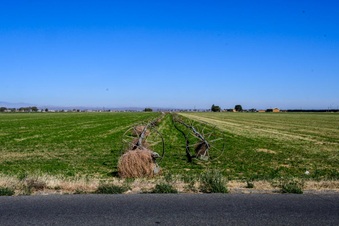 Enlarge photo 7