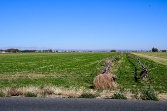 Enlarge photo 10
