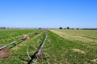 Enlarge photo 20