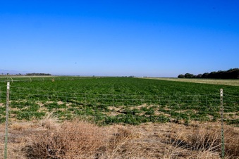 Enlarge photo 15
