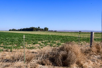 Enlarge photo 16