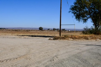 Ave K - (2) (Green Field)