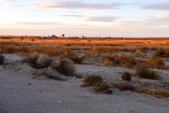 Enlarge photo 24