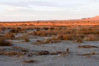 Enlarge photo 25