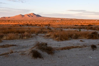 Enlarge photo 26