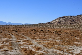 Enlarge photo 5