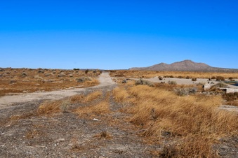 Enlarge photo 14