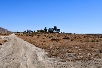Enlarge photo 18