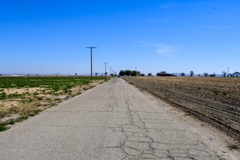 Ave L (Green Field)