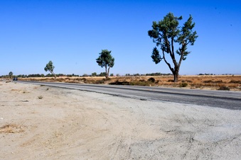 Enlarge photo 29