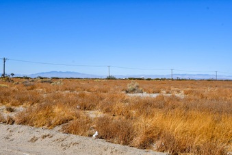 Enlarge photo 15