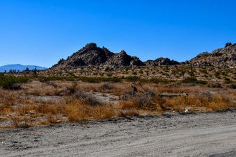 Enlarge photo 18