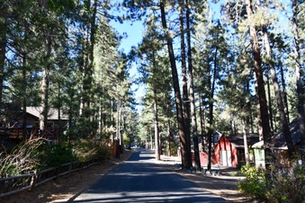 Enlarge photo 7