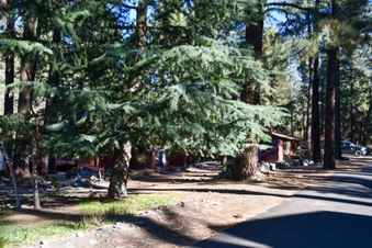 Enlarge photo 18