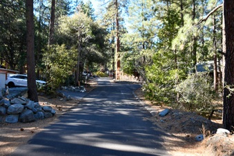 Enlarge photo 11