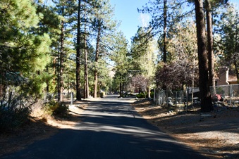 Enlarge photo 13